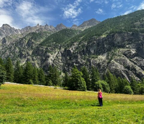 Alpi francesi cosa vedere