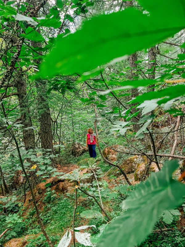 Momenti della Forest Therapy ad Ailefroide